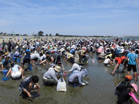 津の海