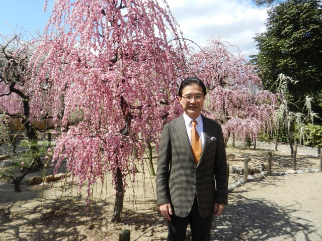 結城神社 梅まつり 観賞