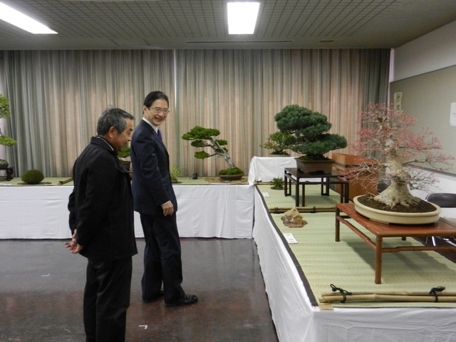 銘品盆栽展 鑑賞
