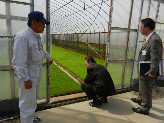 市内農業者の生産現場視察（株式会社前川農産）