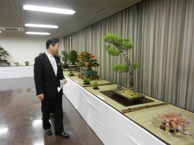 盆栽展示会 鑑賞