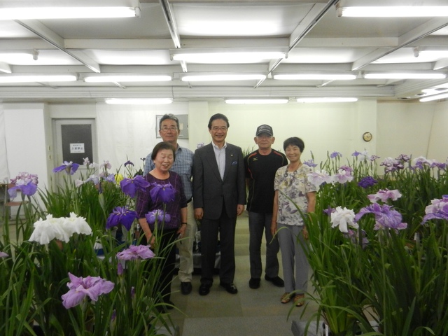 三重花菖蒲協会　花菖蒲展 鑑賞