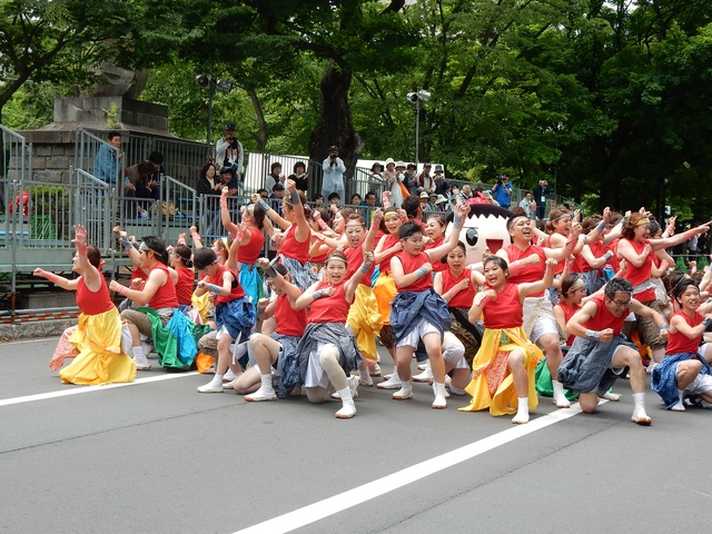 第24回YOSAKOIソーラン祭り4