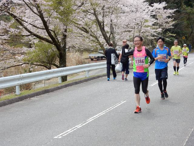 龍王桜マラソン＆ウォーキング大会