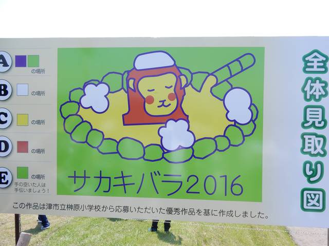 榊原温泉田んぼアート2016 