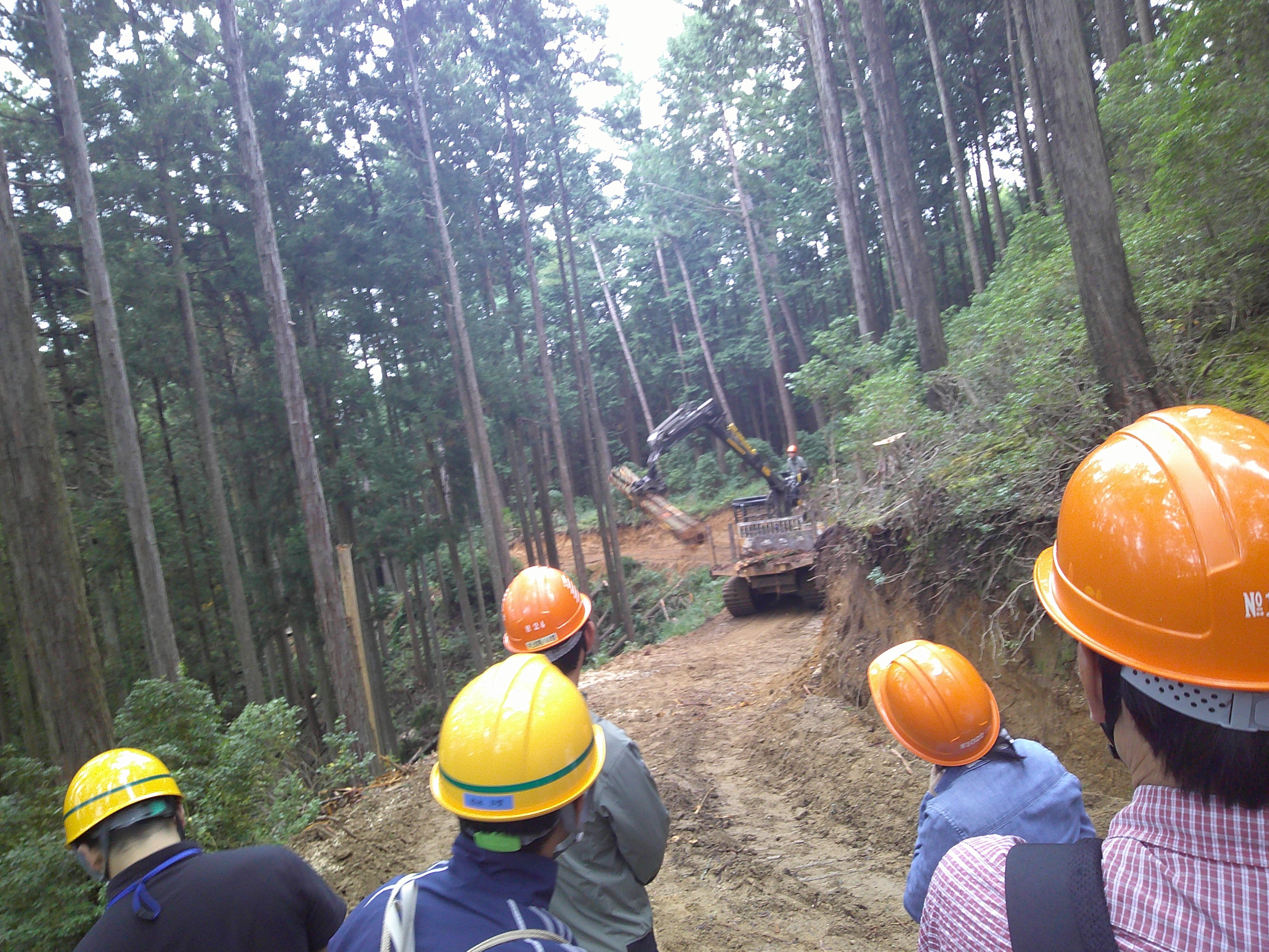 marugoto1
