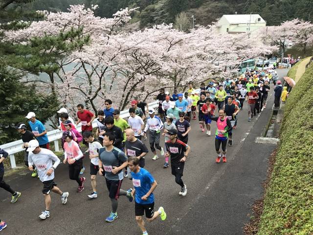 龍王桜マラソン＆ウォーキング大会