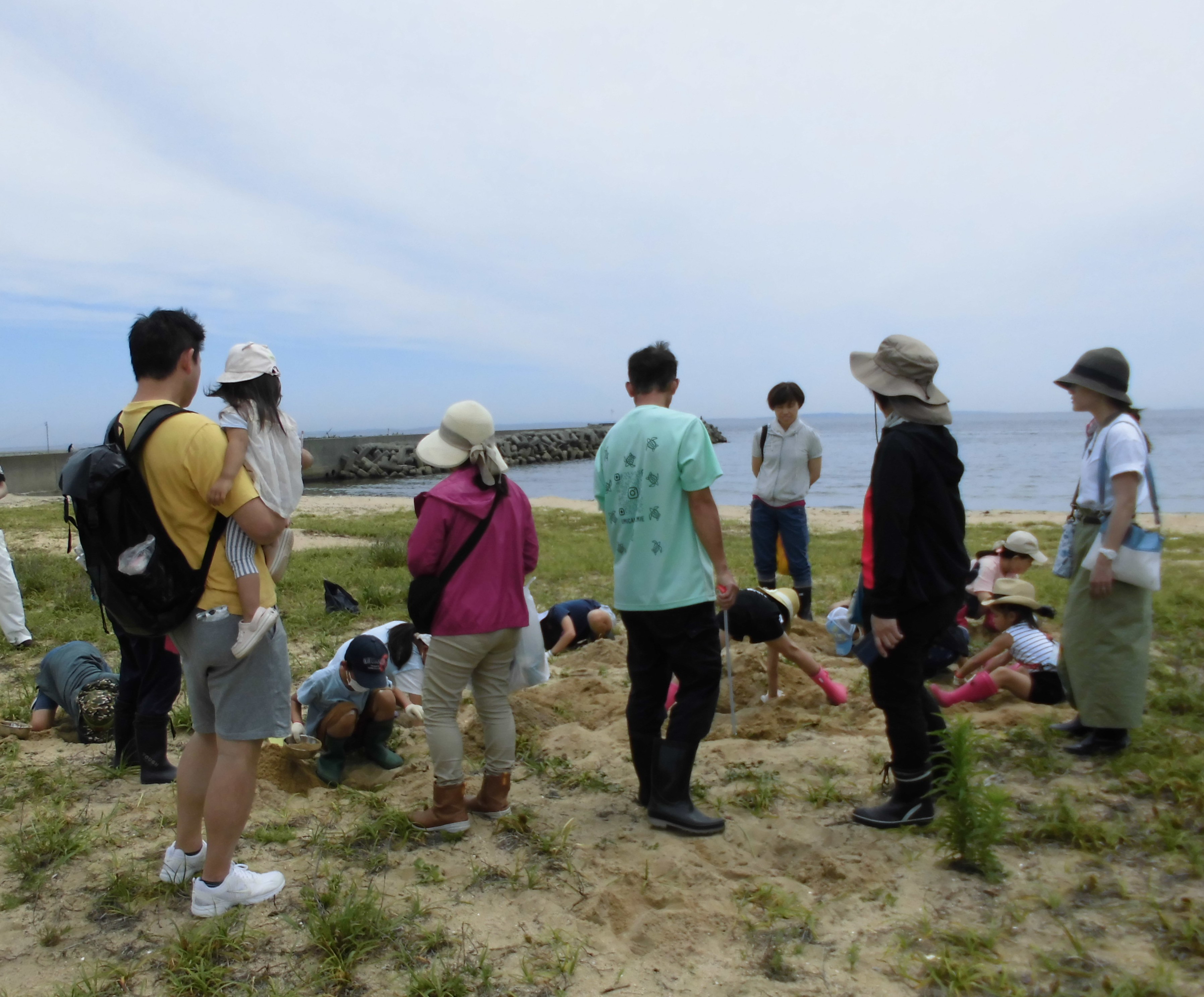 ウミガメ学習会