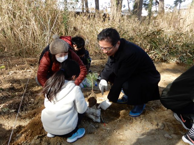 松林を復活させよう植樹会