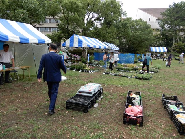 津市民緑と花の市