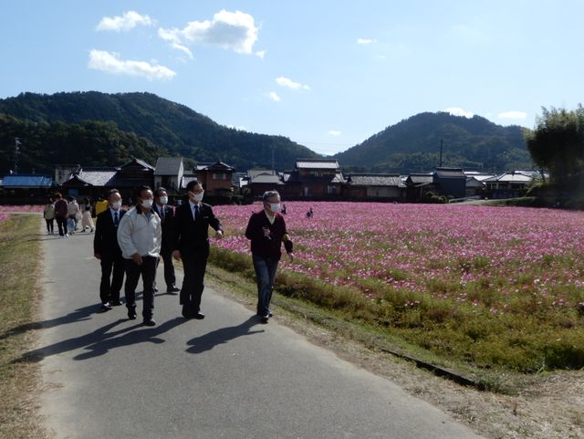 とことめの里一志 コスモス畑