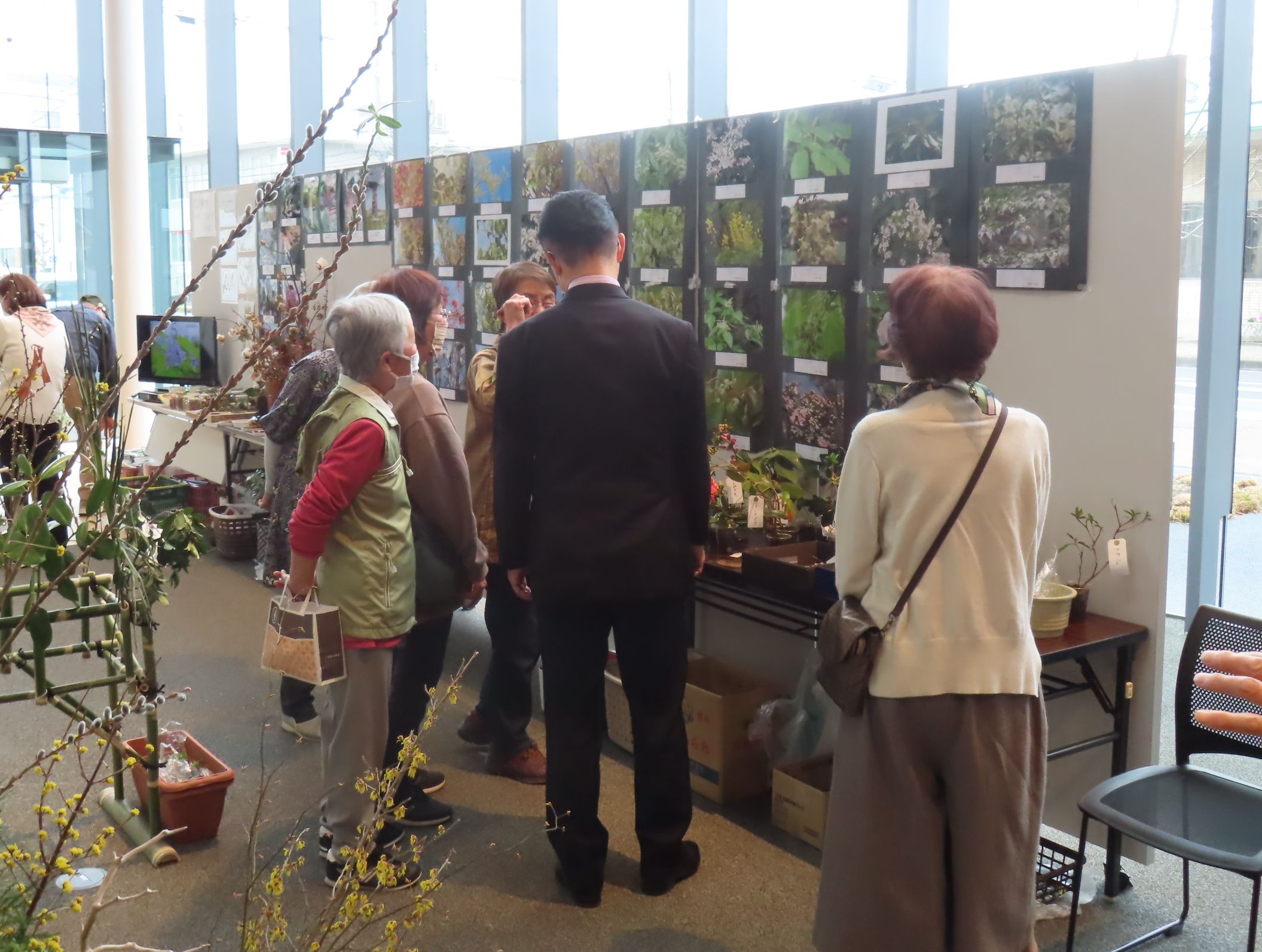 第30回久居公民館まつり菊の花