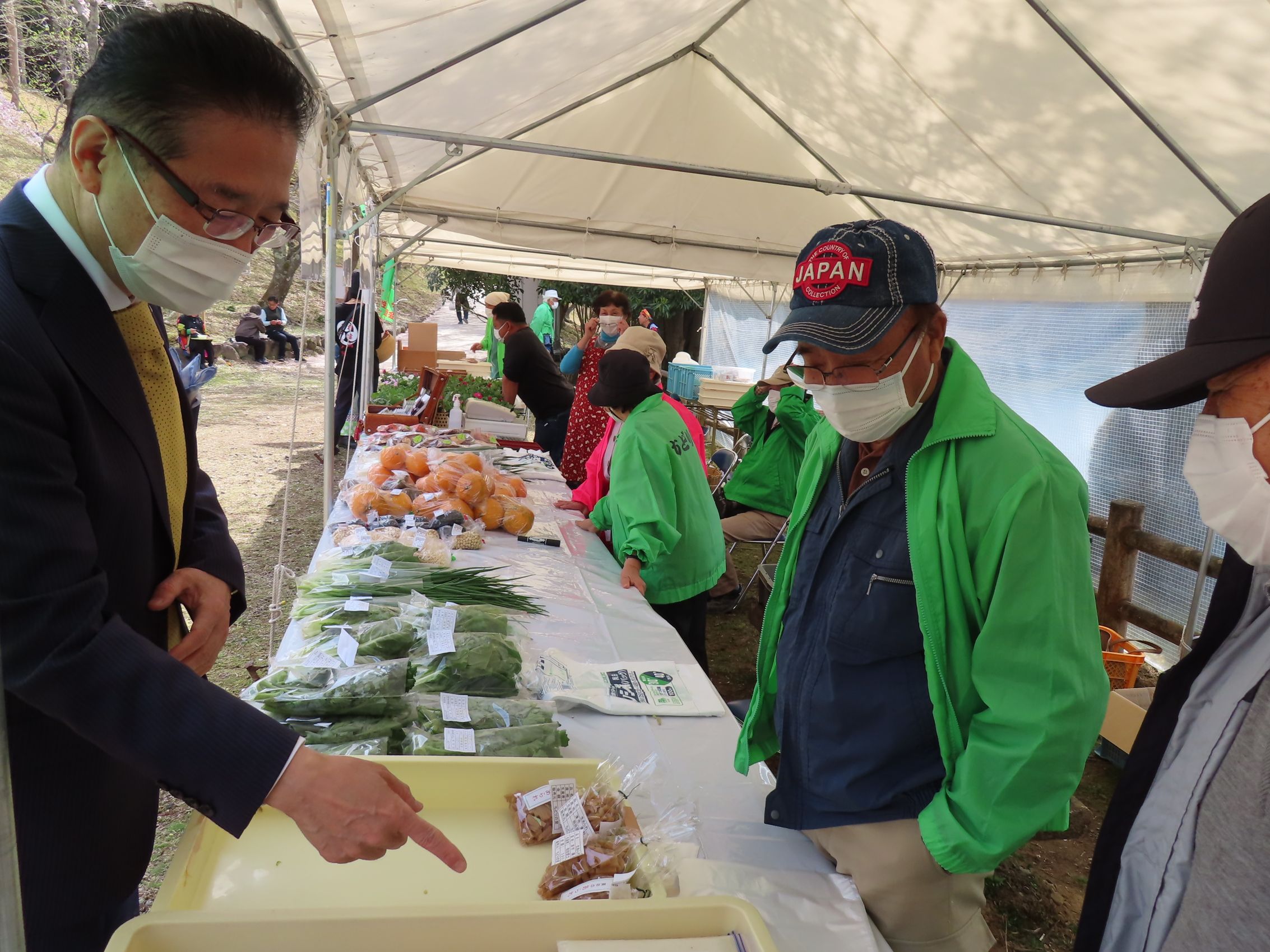 第32回君ケ野ダム桜まつり見学