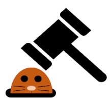 プログラミング体験