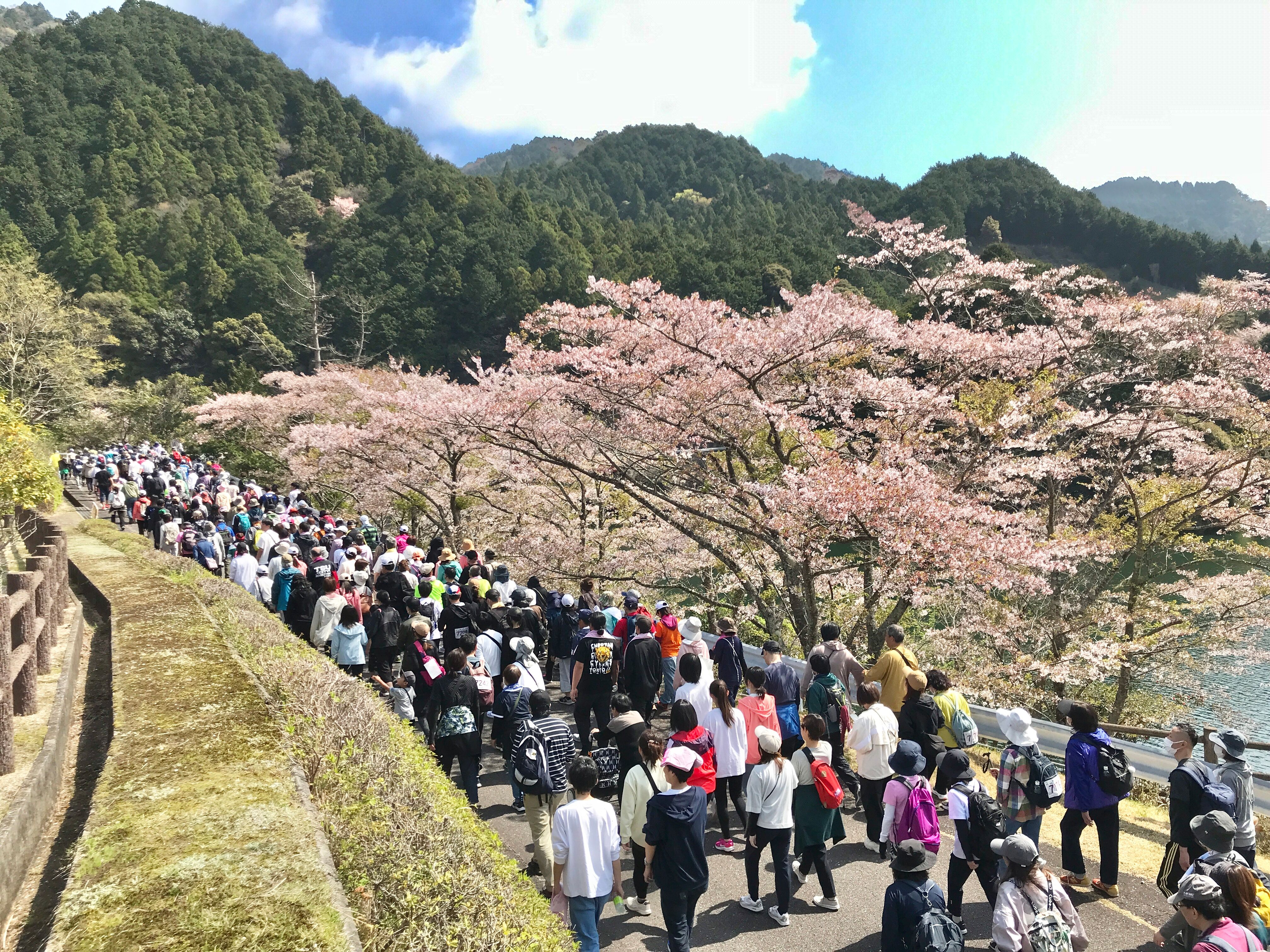 イメージ画像2025-4