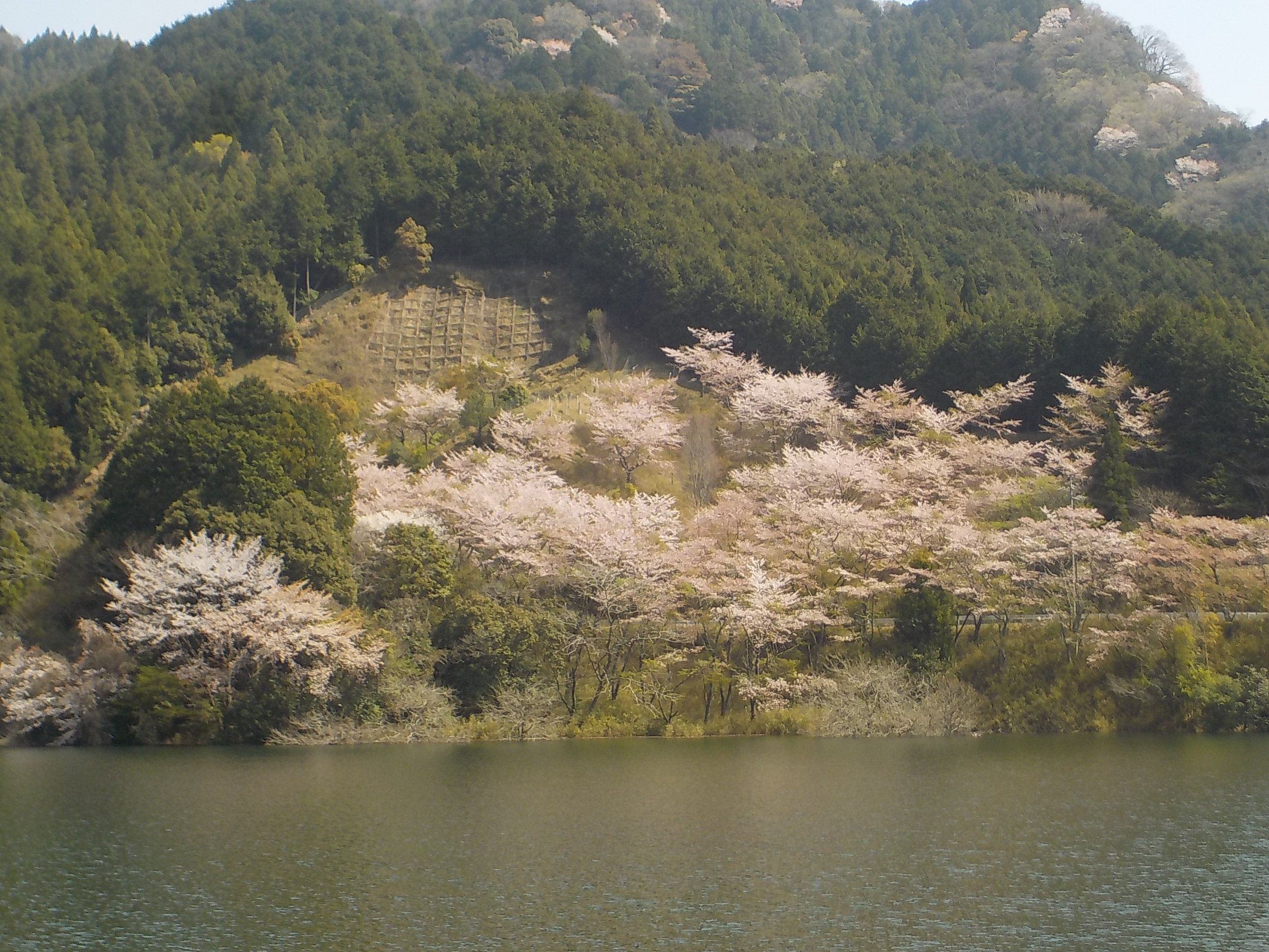 イメージ画像2025-7